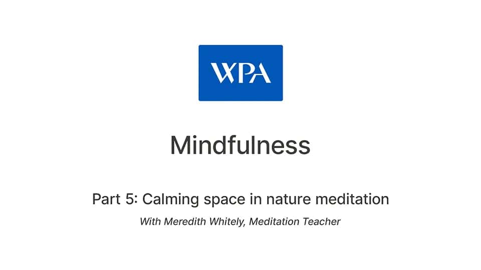 Video: Calming space in nature mediation - Part 5