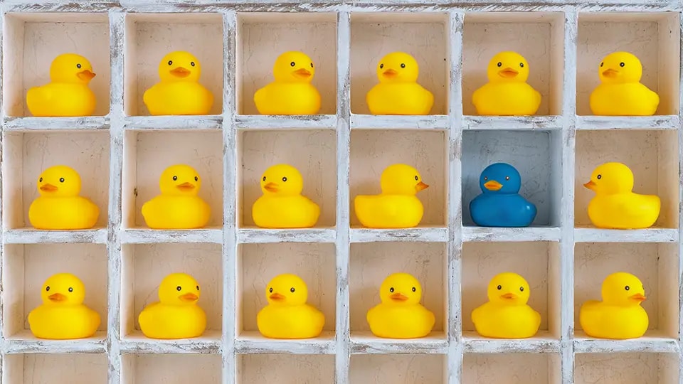 Blue duck between yellow ducks