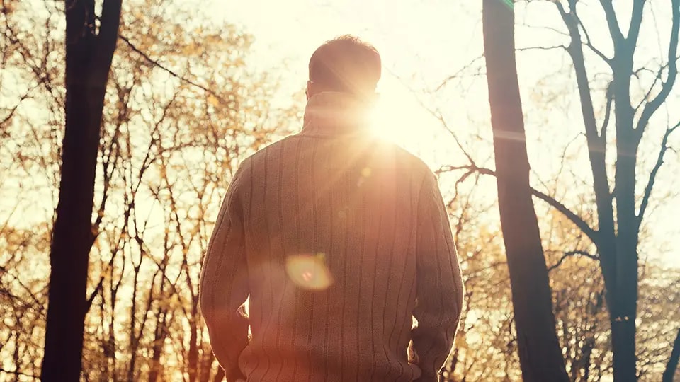 Sillhouette of a person walking in the woods during sunset