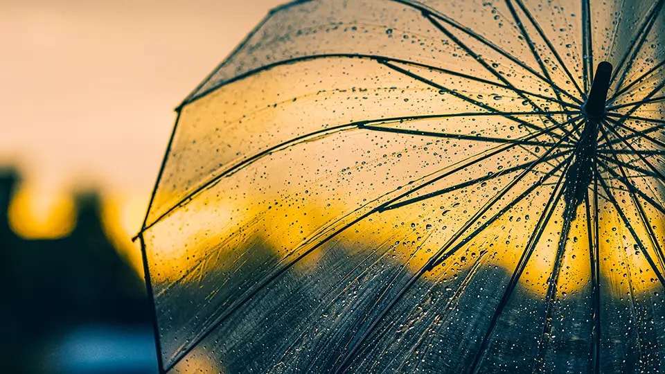 Umbrella
