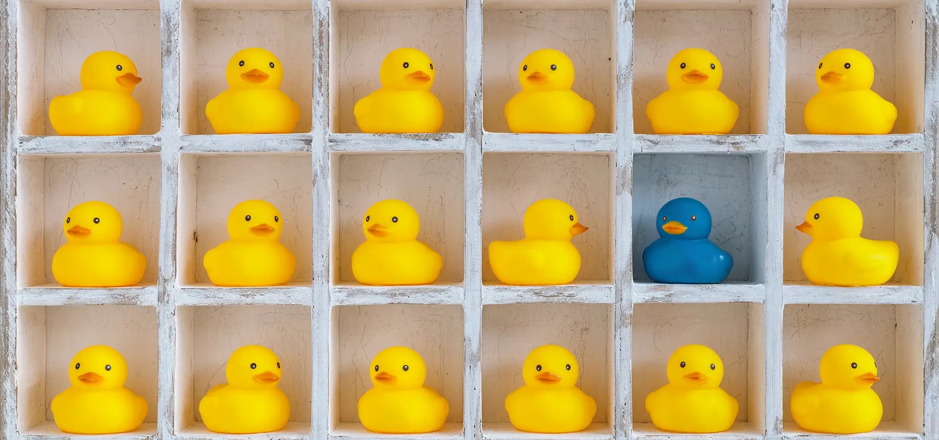 Blue duck between yellow ducks