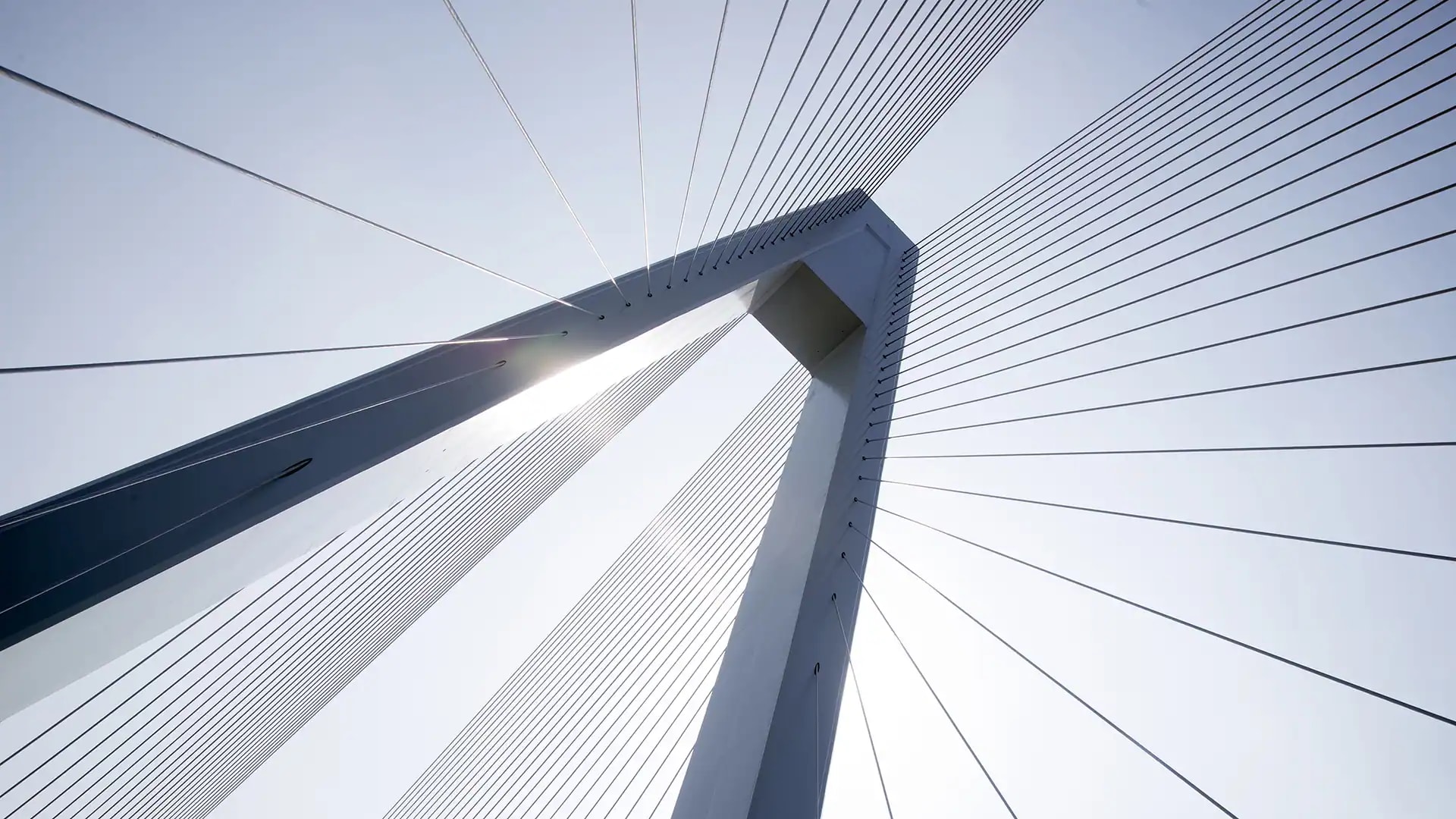 Cable Stayed Bridge