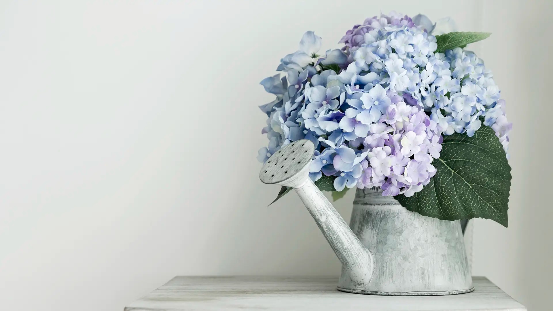 Flowers in watering can