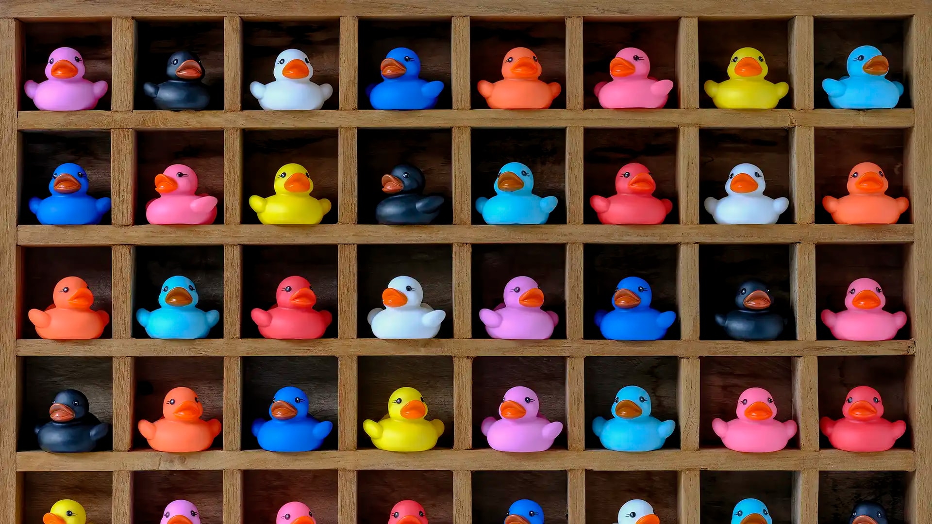Multi-coloured Rubber Ducks