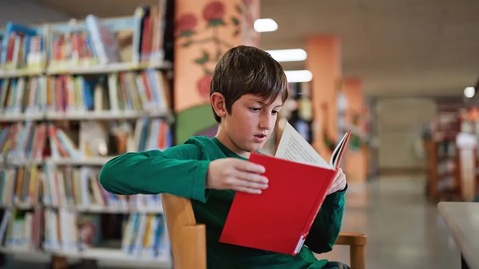 Boy reading a book