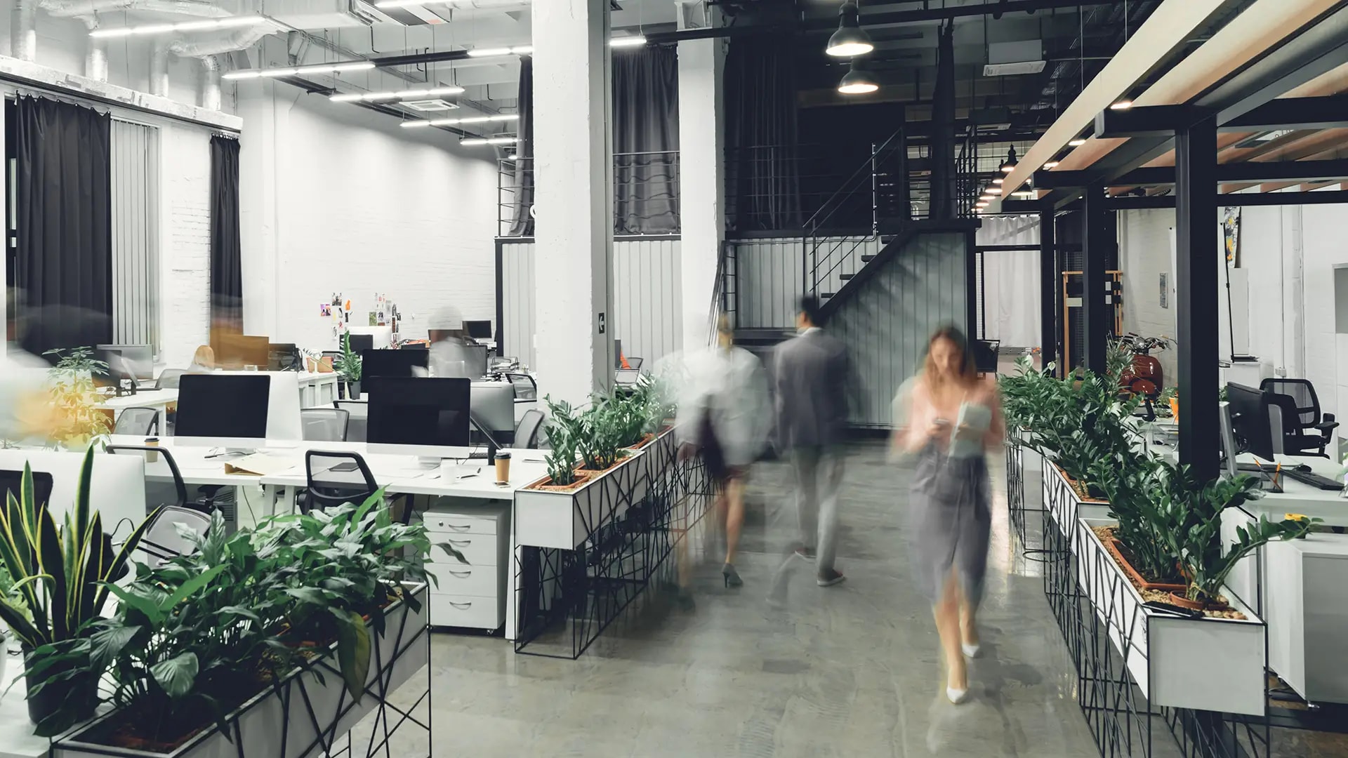 Absolute Health: Better Health Insurance, Built for Business