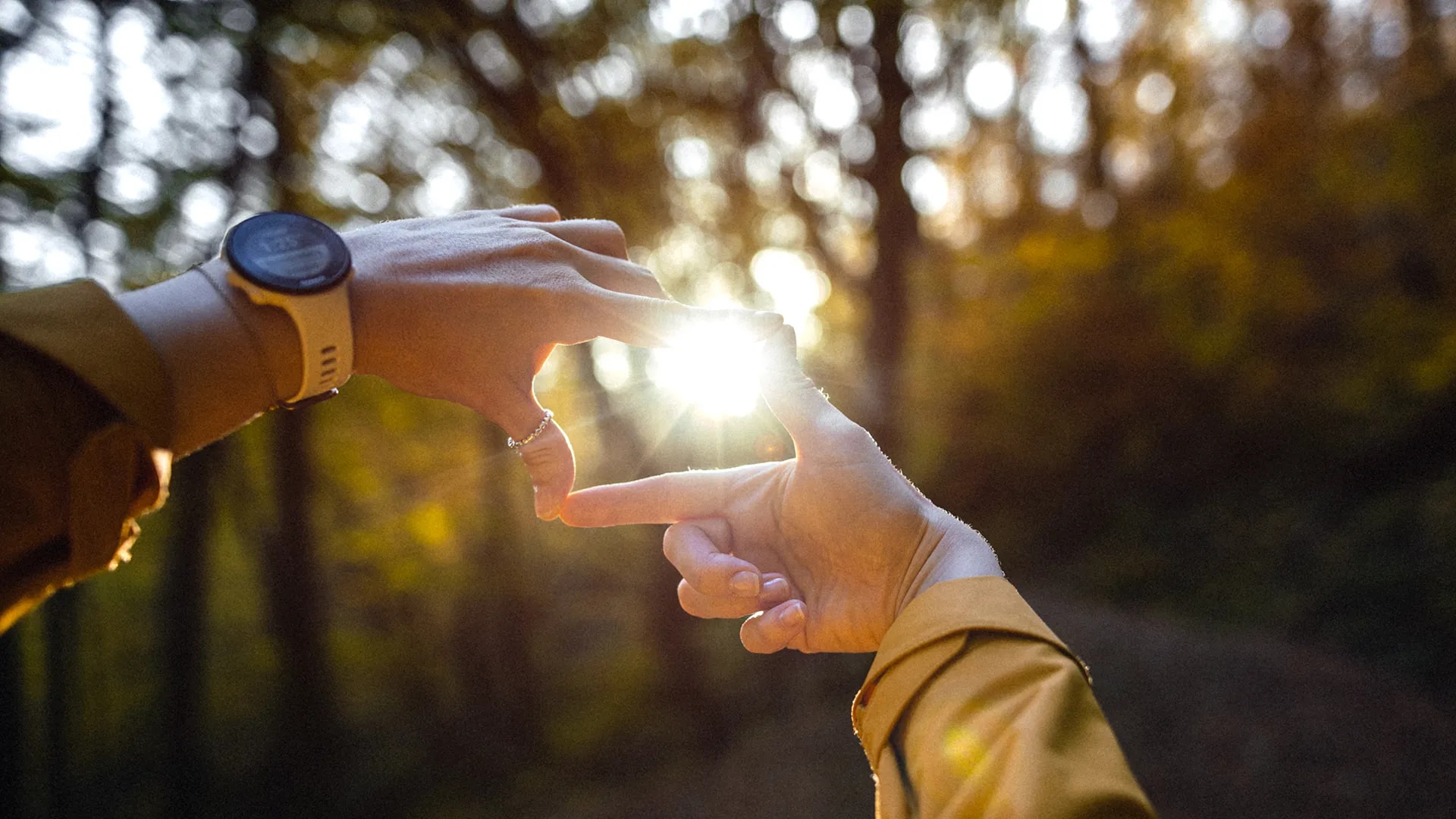 Making a composition with fingers against sun flare in the forest