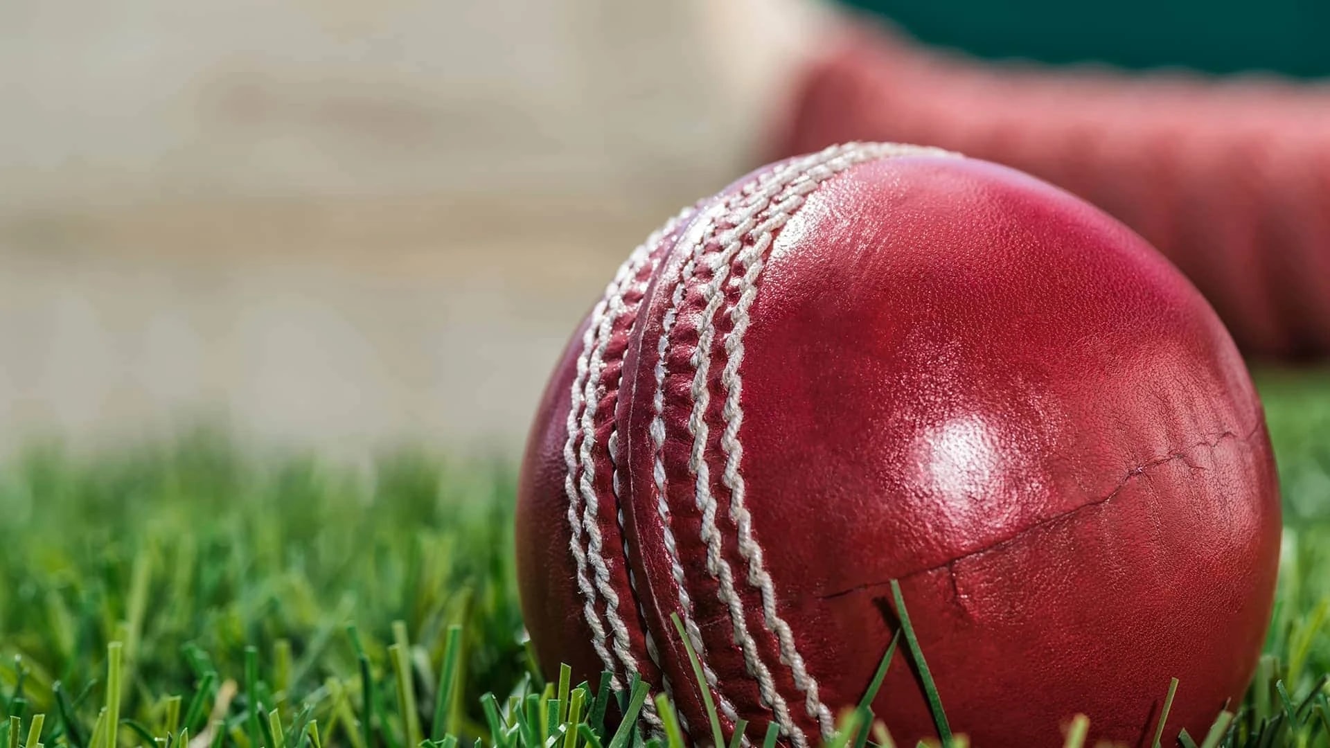 SCCC and WPA launch dedicated Live Stream partnership