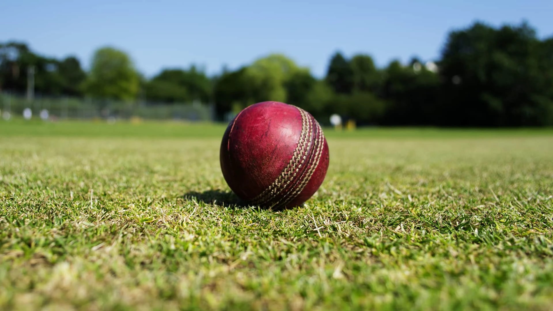 WPA - official partner of Western Storm Cricket Team