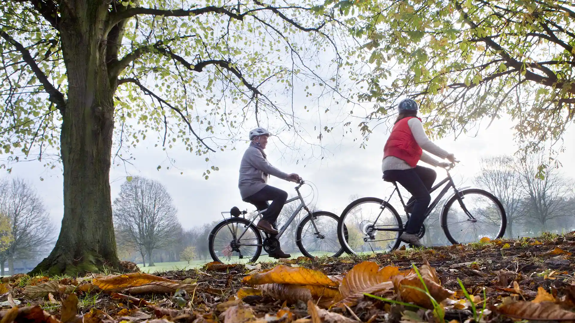 The nation's favourite ways of staying fit